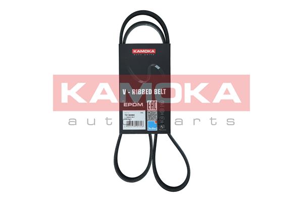 Cinghia Poly-V - 7016080 KAMOKA