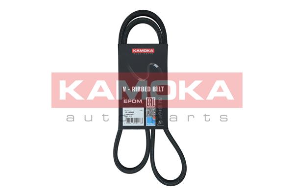 V-Ribbed Belt - 7016081 KAMOKA