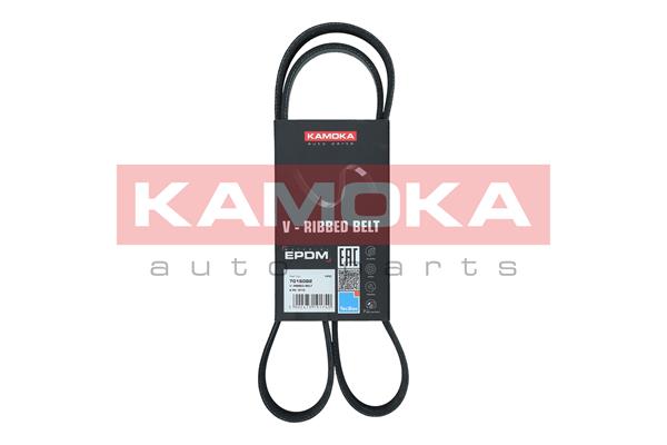 Cinghia Poly-V - 7016082 KAMOKA
