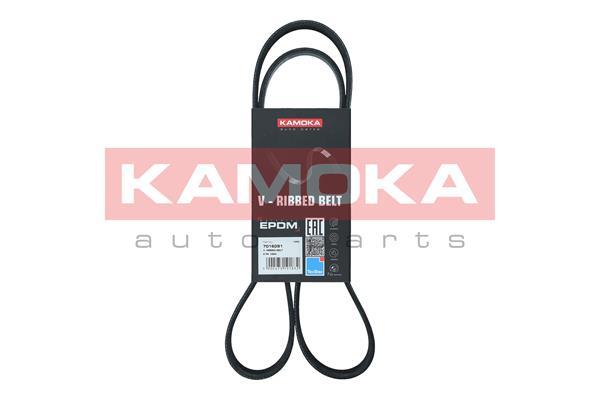 V-Ribbed Belt - 7016091 KAMOKA