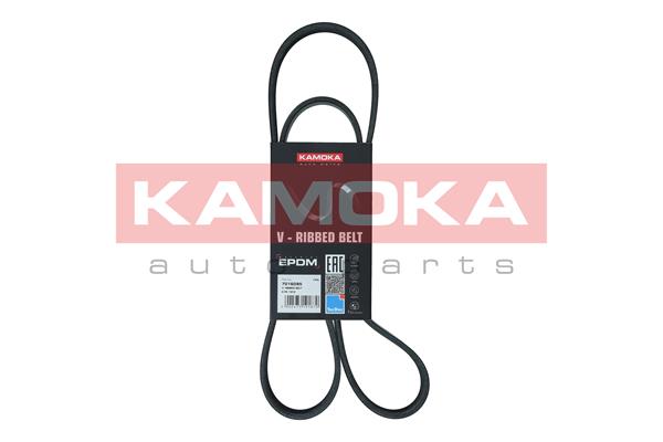 Cinghia Poly-V - 7016095 KAMOKA