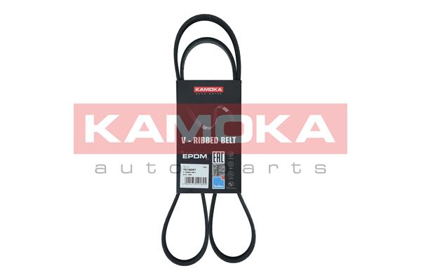 V-Ribbed Belt - 7016097 KAMOKA