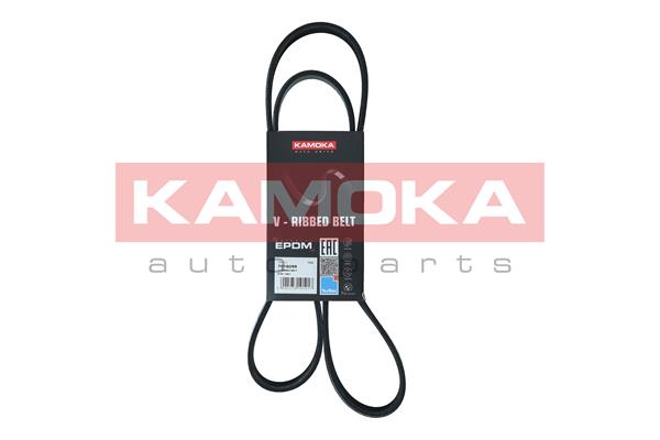 V-Ribbed Belt - 7016099 KAMOKA