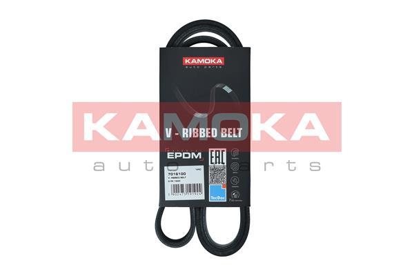 V-Ribbed Belt - 7016100 KAMOKA