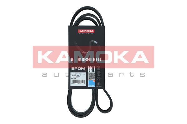 Cinghia Poly-V - 7016122 KAMOKA