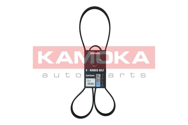 Cinghia Poly-V - 7016124 KAMOKA