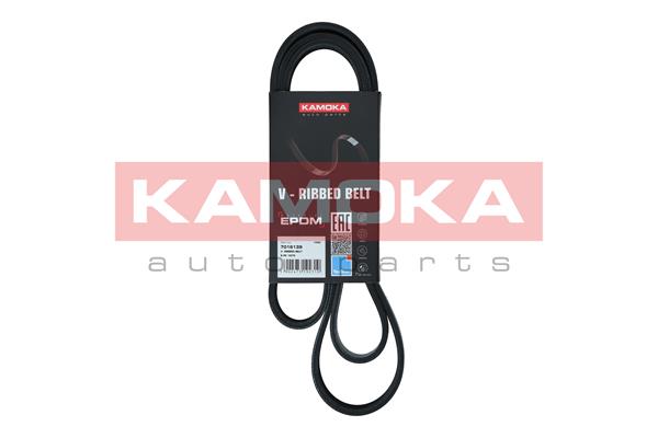 V-Ribbed Belt - 7016139 KAMOKA