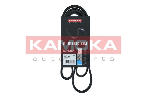 Cinghia Poly-V - 7016147 KAMOKA
