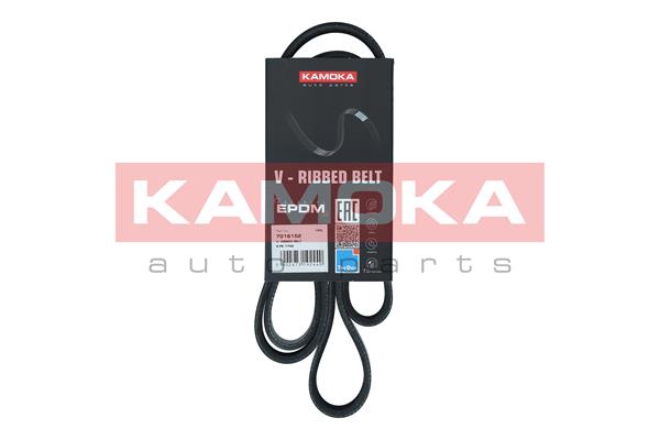 Cinghia Poly-V - 7016152 KAMOKA