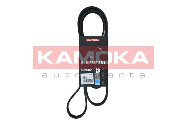 Cinghia Poly-V - 7016160 KAMOKA