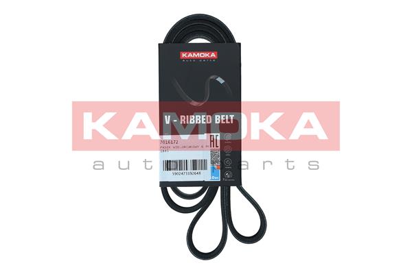 V-Ribbed Belt - 7016172 KAMOKA