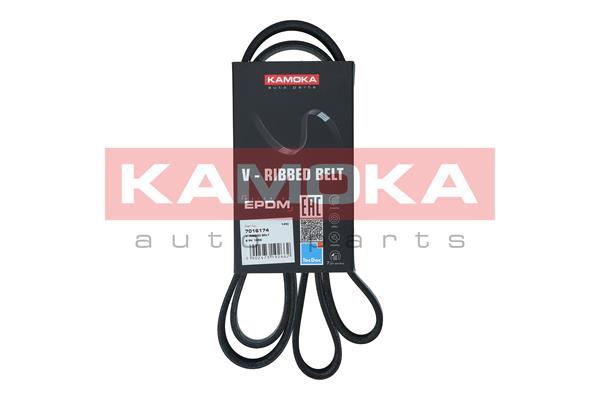 Cinghia Poly-V - 7016174 KAMOKA