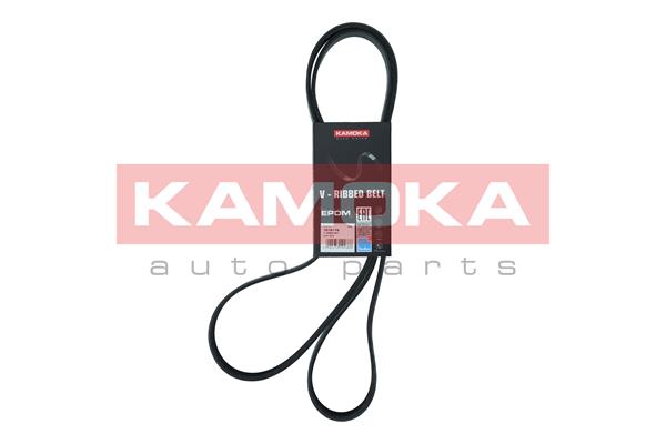 Cinghia Poly-V - 7016176 KAMOKA