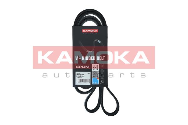 Cinghia Poly-V - 7016177 KAMOKA