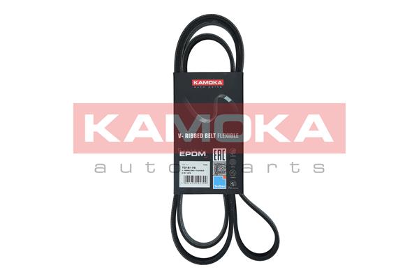 Cinghia Poly-V - 7016178 KAMOKA