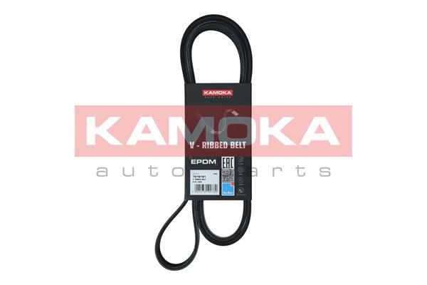 V-Ribbed Belt - 7016181 KAMOKA