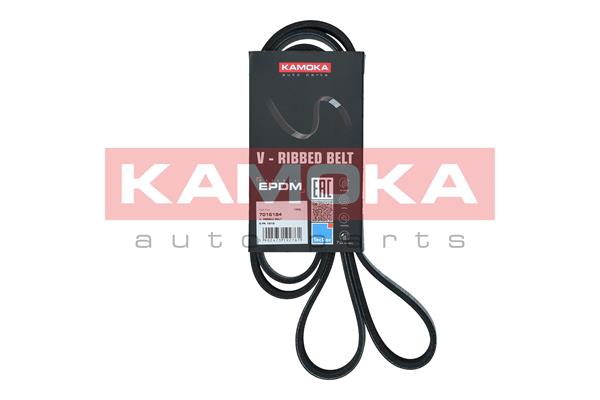 V-Ribbed Belt - 7016184 KAMOKA