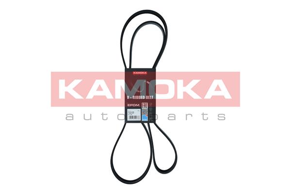 Cinghia Poly-V - 7016185 KAMOKA