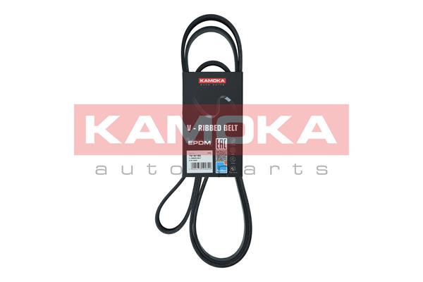 Cinghia Poly-V - 7016190 KAMOKA