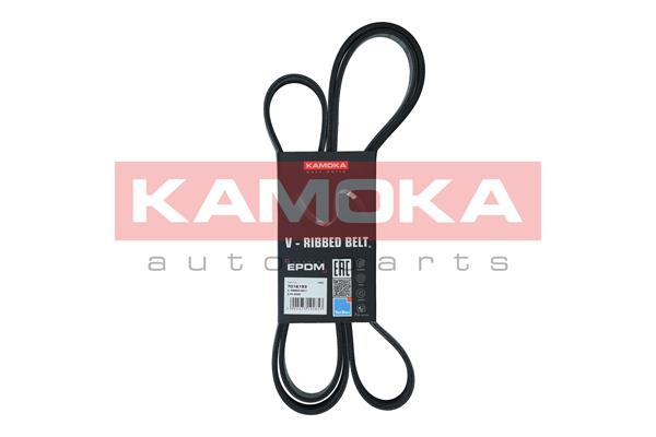 V-Ribbed Belt - 7016193 KAMOKA
