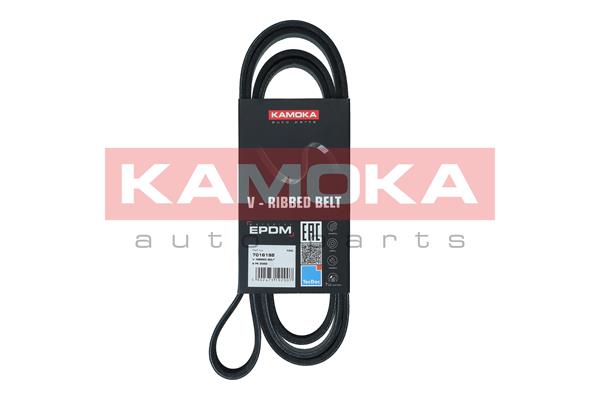 Cinghia Poly-V - 7016198 KAMOKA