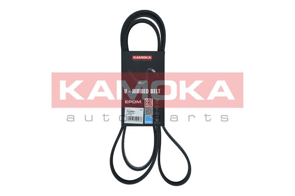 V formos rumbuoti diržai - 7016201 KAMOKA