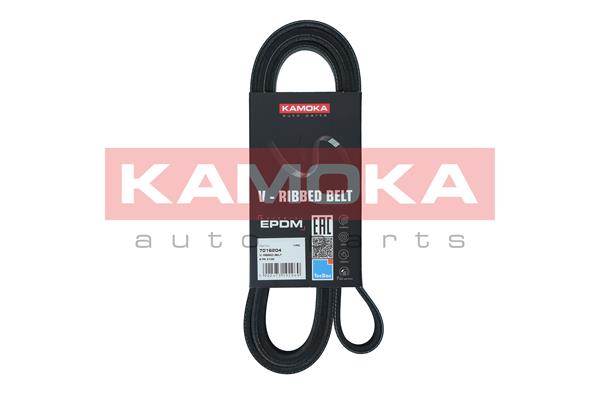 V-Ribbed Belt - 7016204 KAMOKA