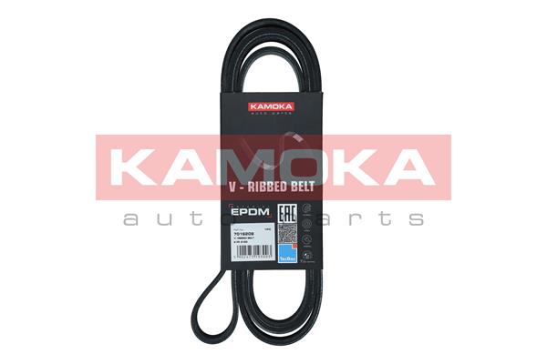 V-Ribbed Belt - 7016208 KAMOKA