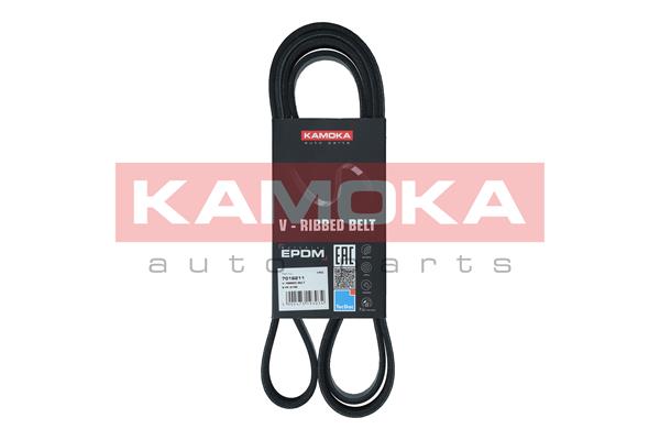 Cinghia Poly-V - 7016211 KAMOKA