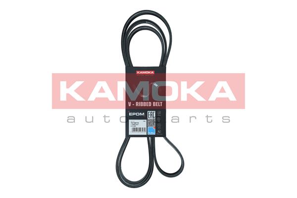 V-Ribbed Belt - 7016215 KAMOKA