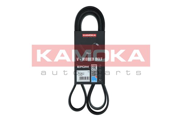 Cinghia Poly-V - 7016217 KAMOKA