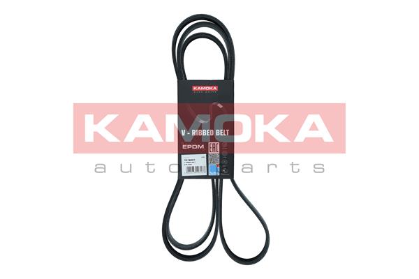 V-Ribbed Belt - 7016221 KAMOKA