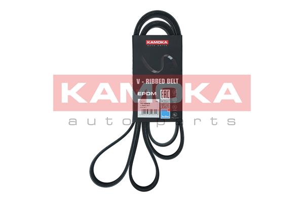 Cinghia Poly-V - 7016223 KAMOKA