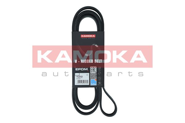 Cinghia Poly-V - 7016224 KAMOKA