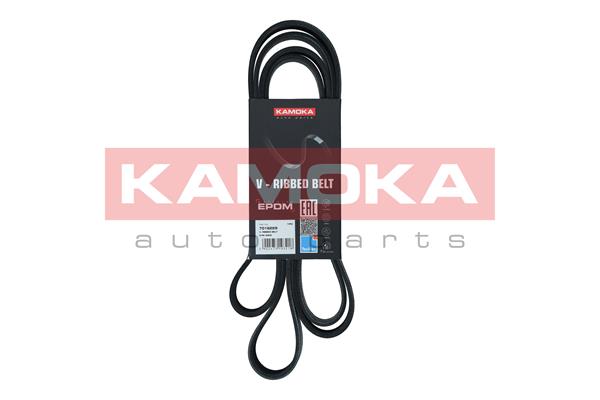 V-Ribbed Belt - 7016229 KAMOKA