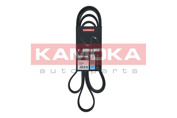 Cinghia Poly-V - 7016230 KAMOKA
