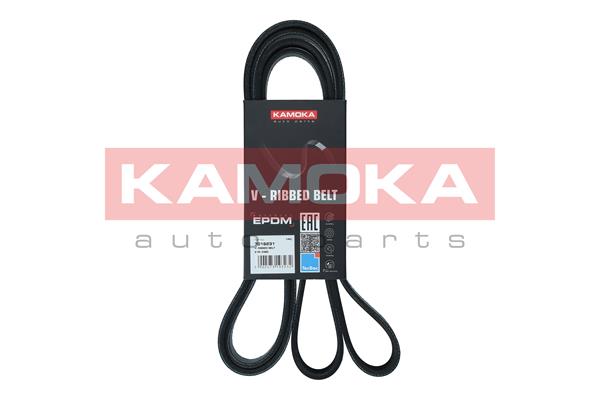 Cinghia Poly-V - 7016231 KAMOKA