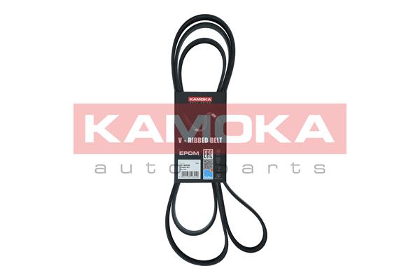 Cinghia Poly-V - 7016232 KAMOKA