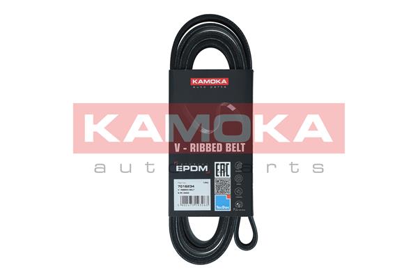 Cinghia Poly-V - 7016234 KAMOKA