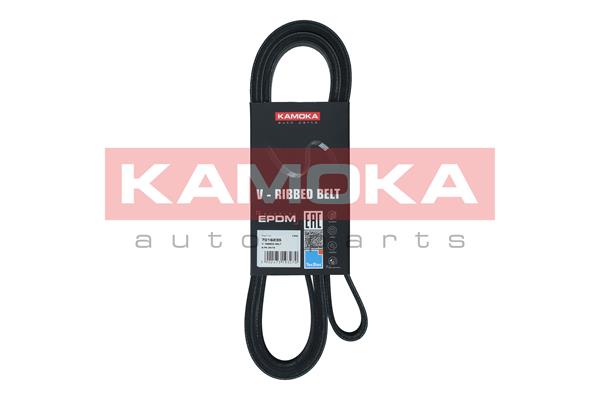Cinghia Poly-V - 7016235 KAMOKA