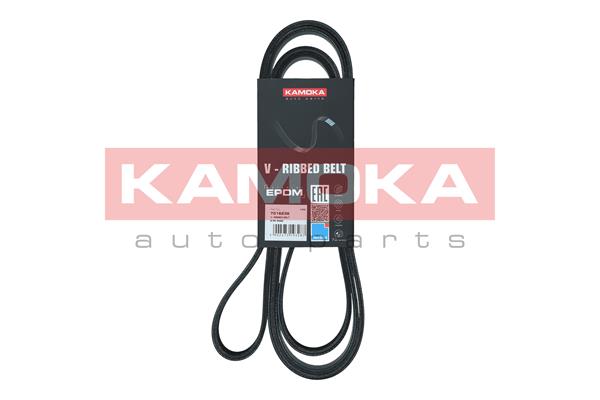 Cinghia Poly-V - 7016236 KAMOKA