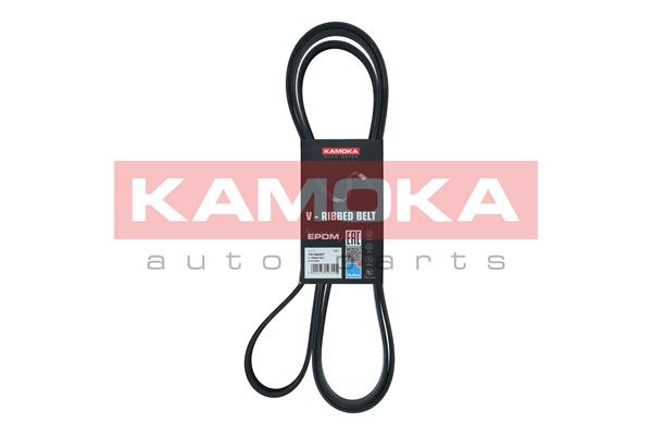 Cinghia Poly-V - 7016237 KAMOKA