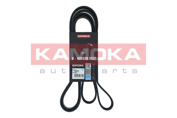 V-Ribbed Belt - 7016238 KAMOKA