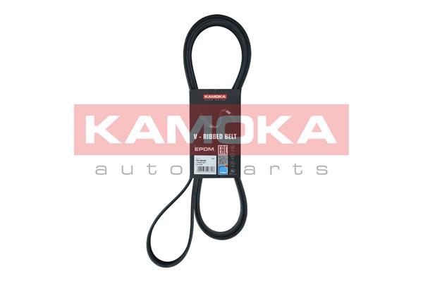 Cinghia Poly-V - 7016239 KAMOKA