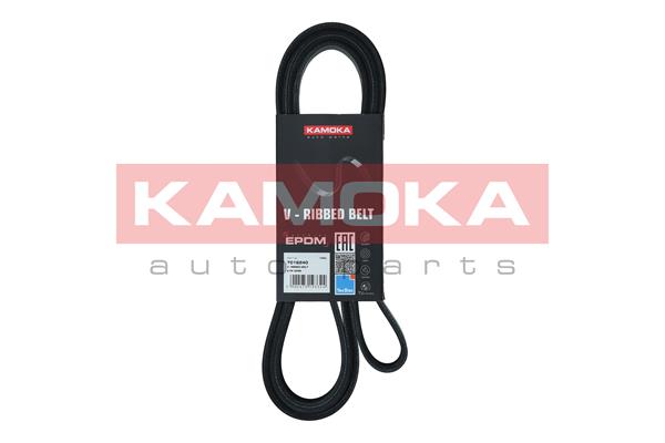 Cinghia Poly-V - 7016240 KAMOKA