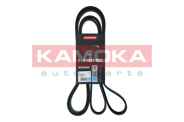 V-Ribbed Belt - 7016241 KAMOKA