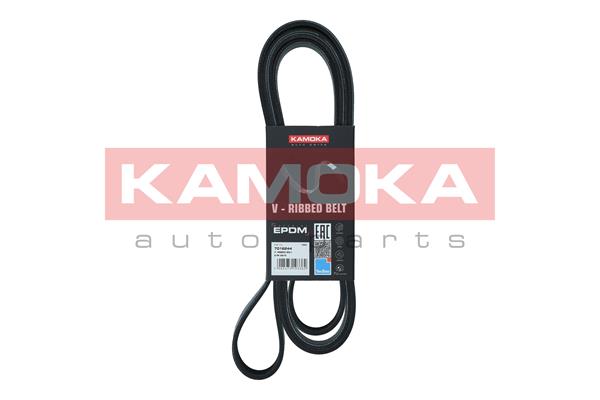 V-Ribbed Belt - 7016244 KAMOKA