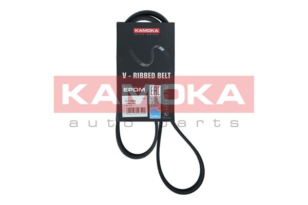Cinghia Poly-V - 7017003 KAMOKA