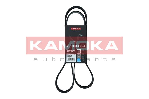 V-Ribbed Belt - 7017014 KAMOKA