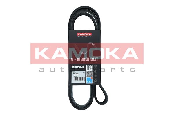 V-Ribbed Belt - 7017021 KAMOKA